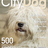 @citydogmagazine