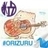 @solo_guitar